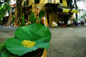 Craft bia thưởng thức hương vị mùa thu từ bia cốm